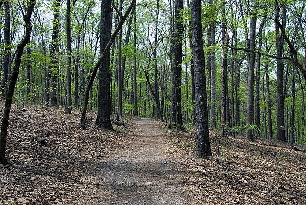 Typical Trail Conditions None