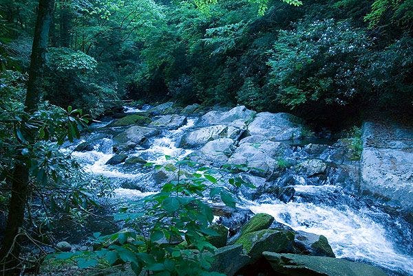 Typically beautiful rapids None