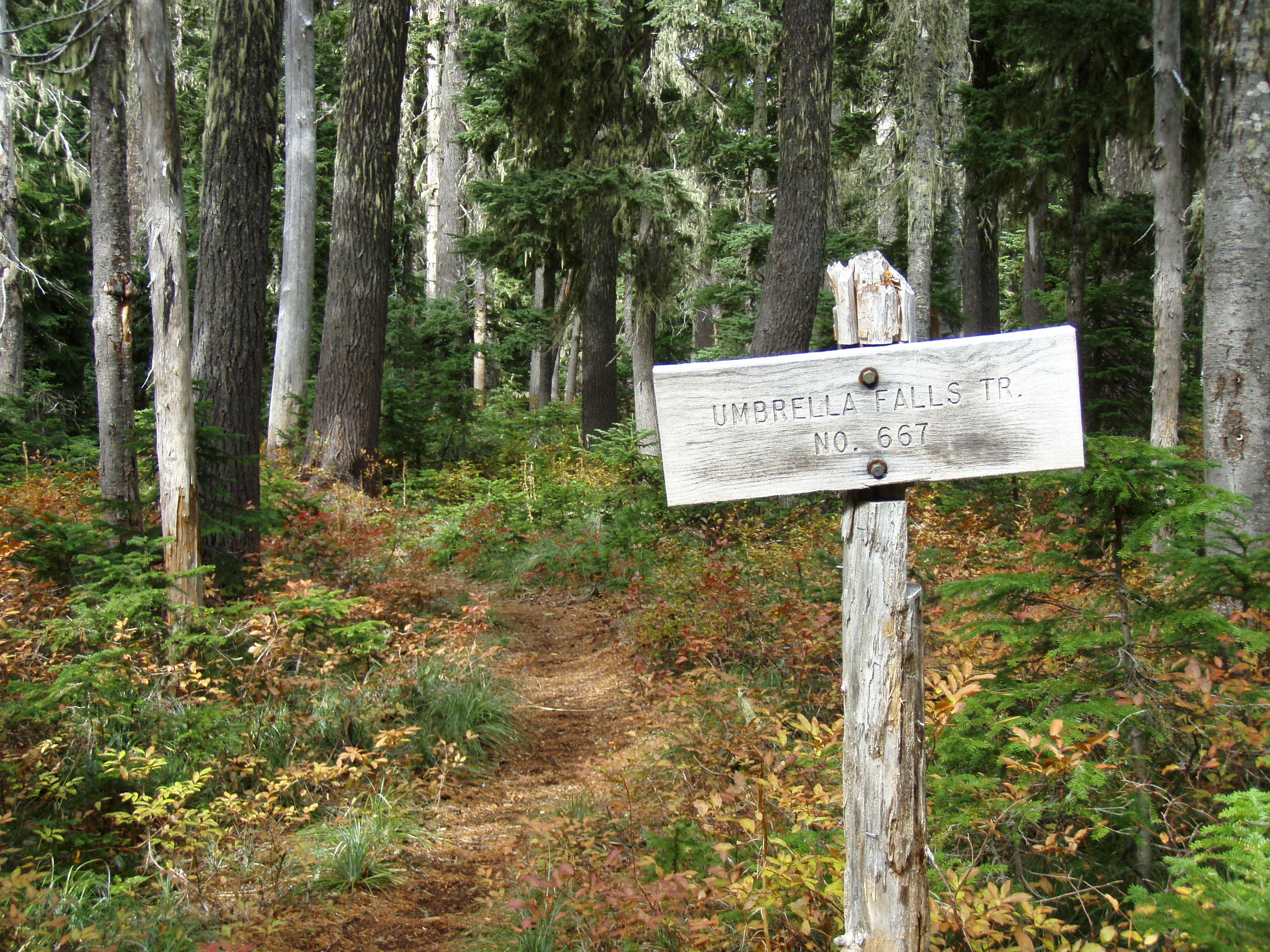 Umbrella Falls sign None