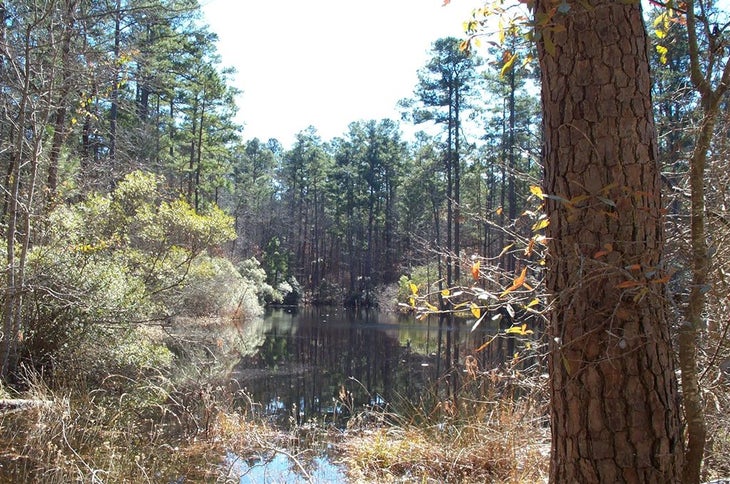 Unnamed Pond None