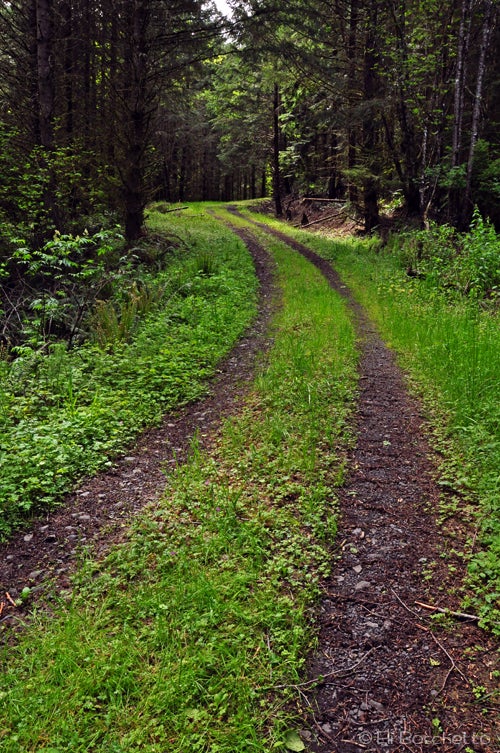 Up Road None