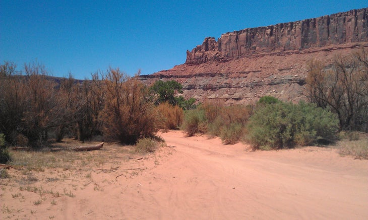 Upheaval Canyon Trail None