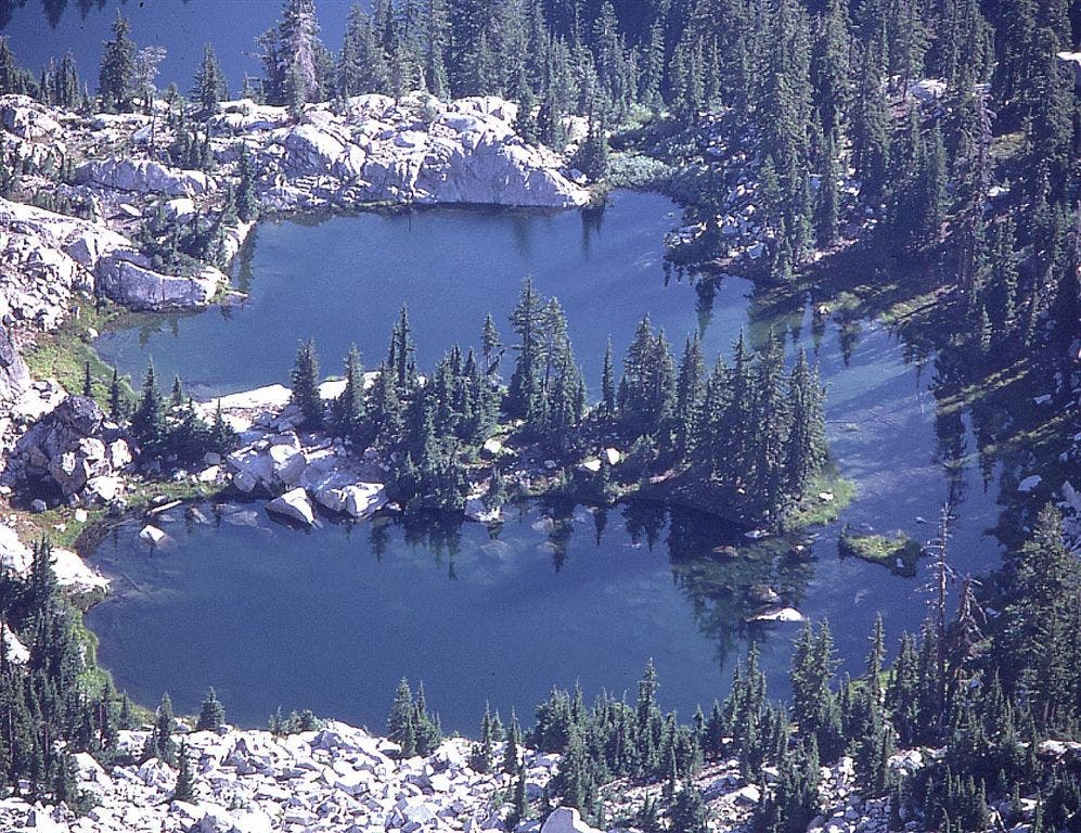 Upper Albert Lake None