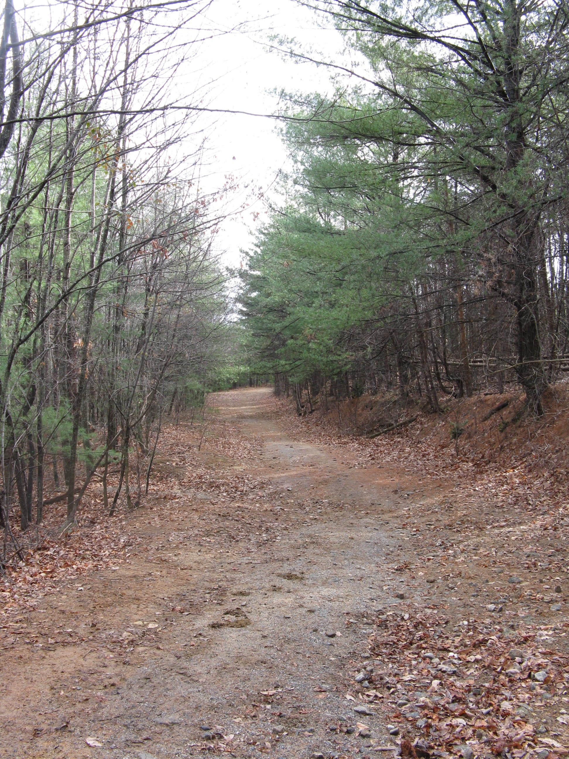 Upper CCC Trail None