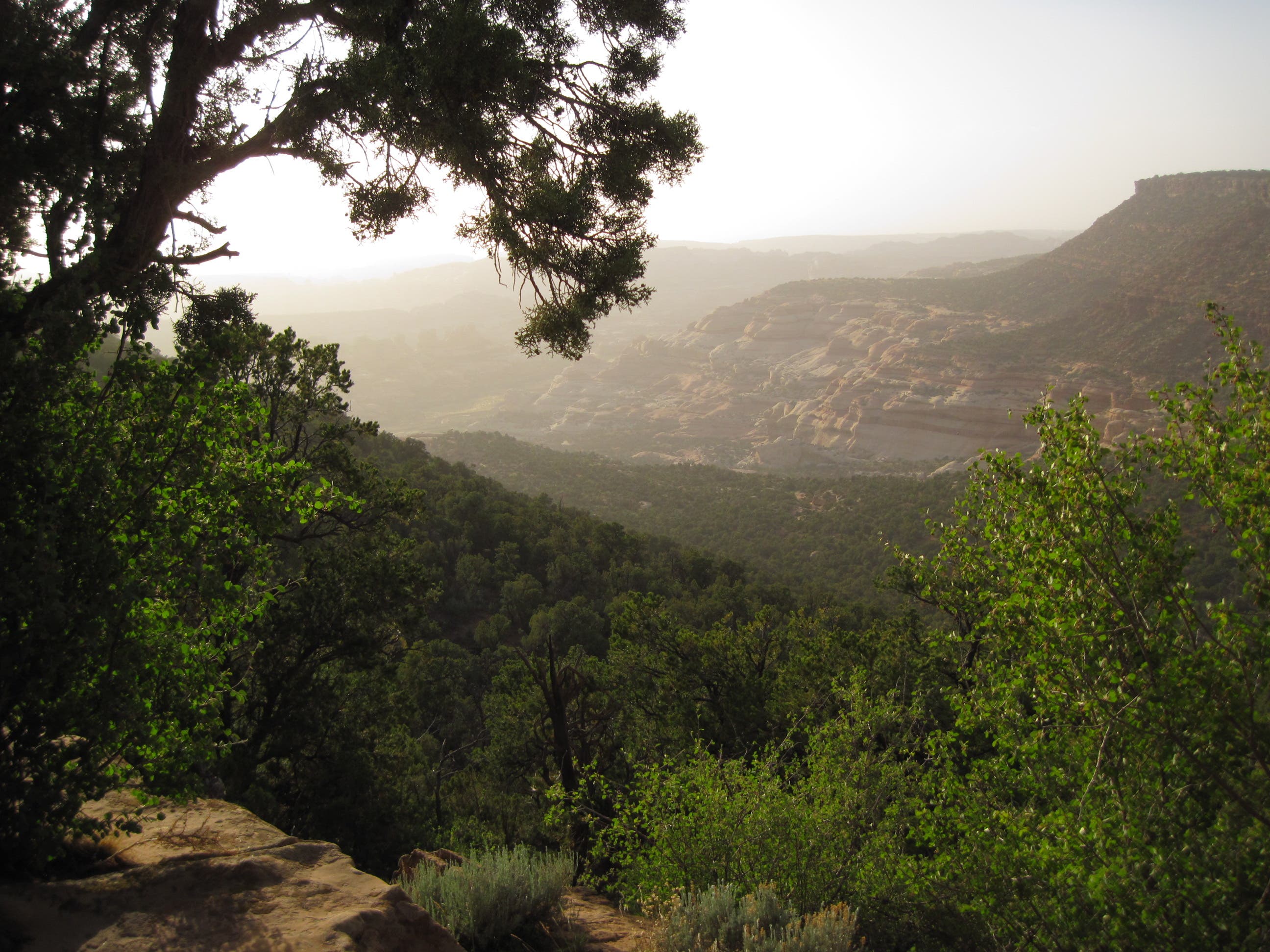 Upper Salt Creek Canyon None