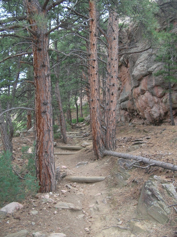 Upper Trail None
