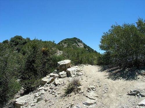 Use-trail None