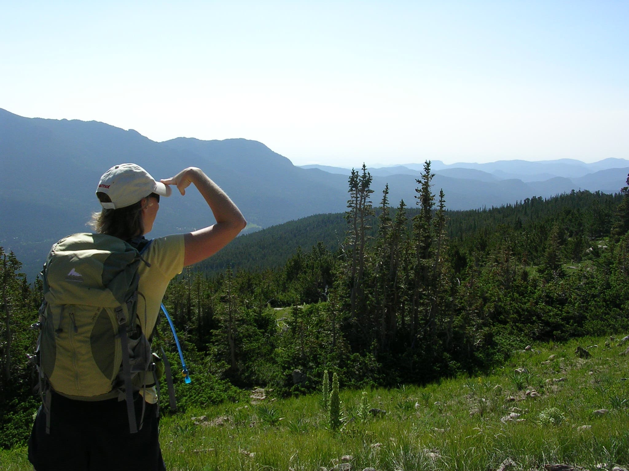 Valley views from the Chasm Lake Trail Hiker looking out over the lush green valley along the Chasm Lake Trail.