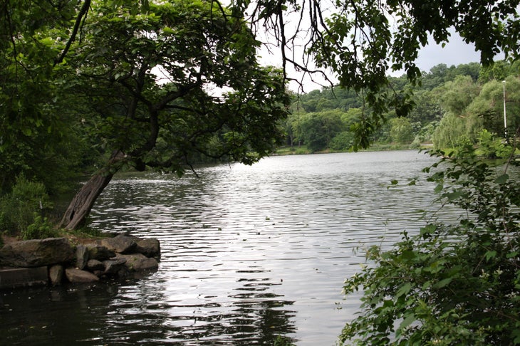 Van Cortlandt Lake None