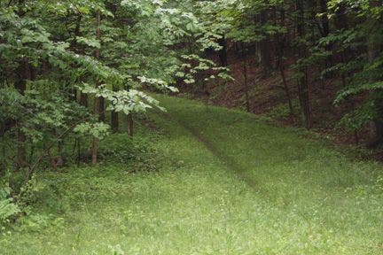 Vear left and you'll pass this access road on your right. None