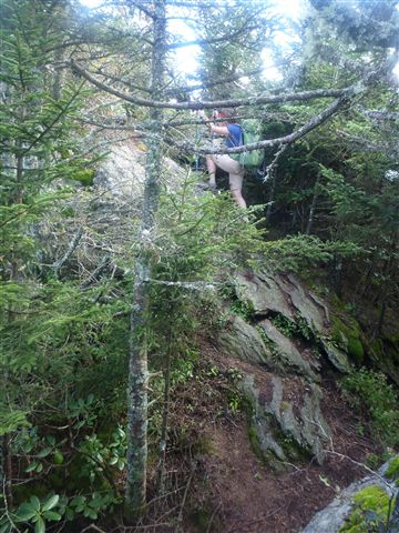 Vertical Trail None