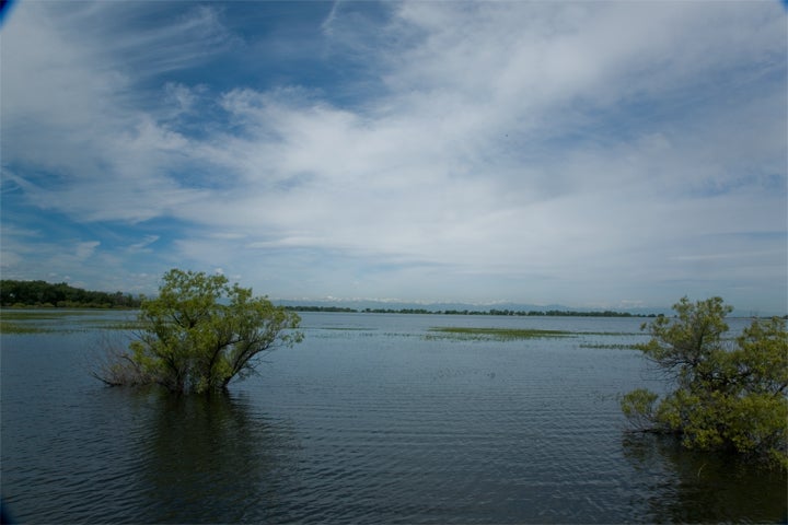 View None