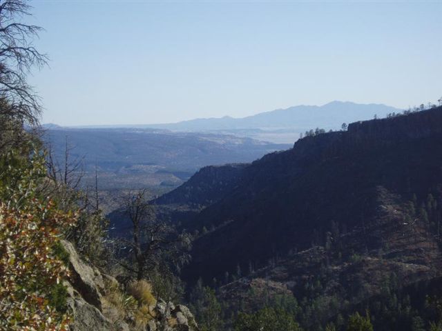 View None