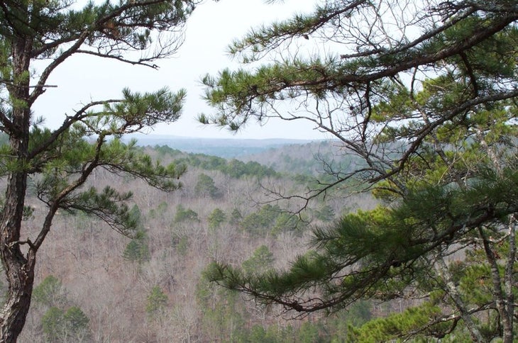 View None