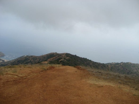 View None