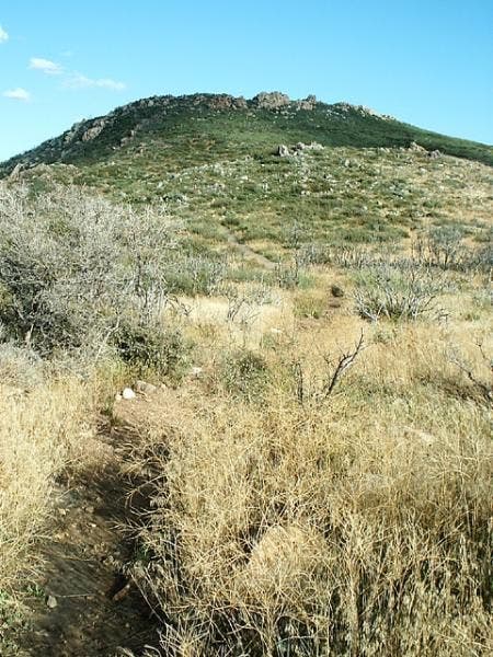 View back along PCT None