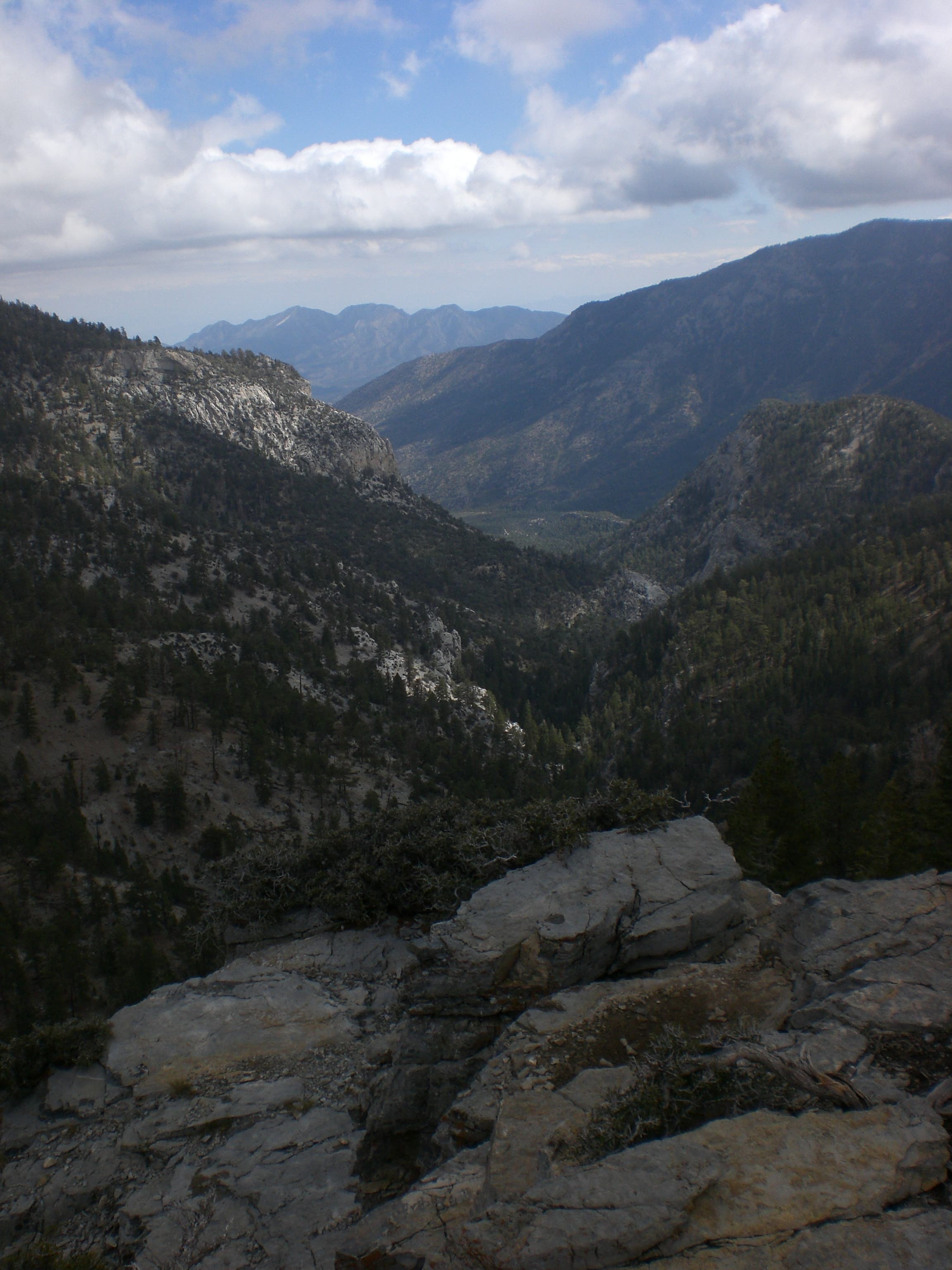 View Down Kyle Canyon None