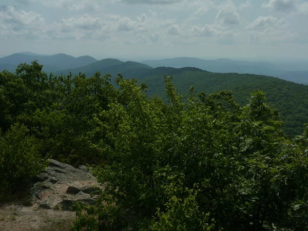 View East from Comers Rock None