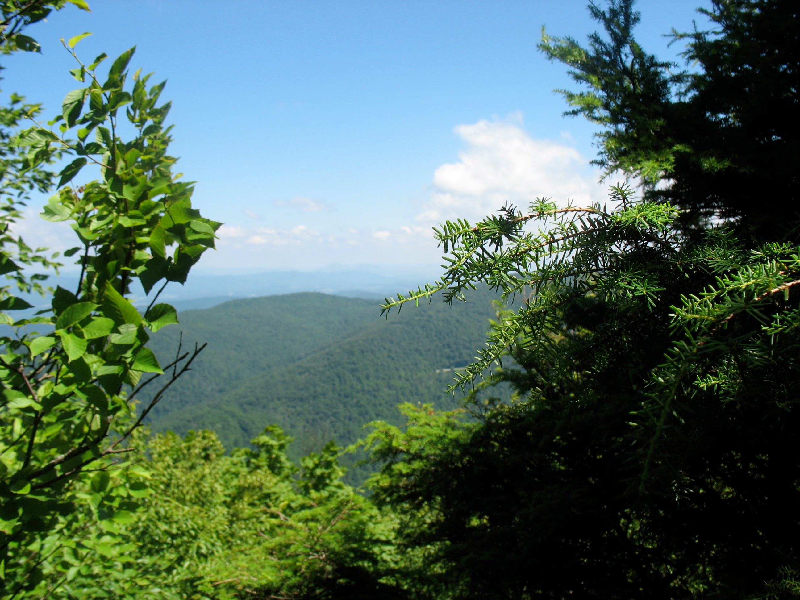 View East from Ridgeline None