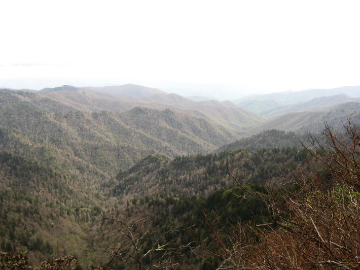 View from AT None