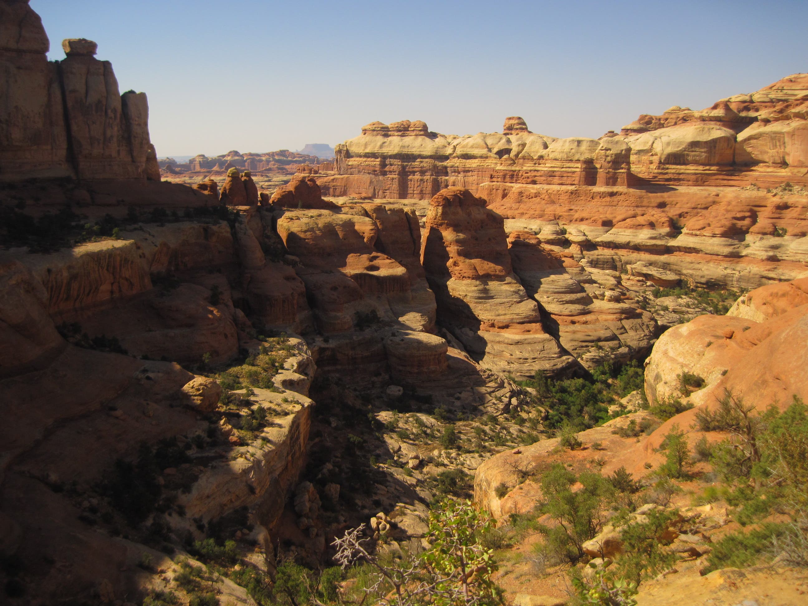 View from beneath Angel Arch None