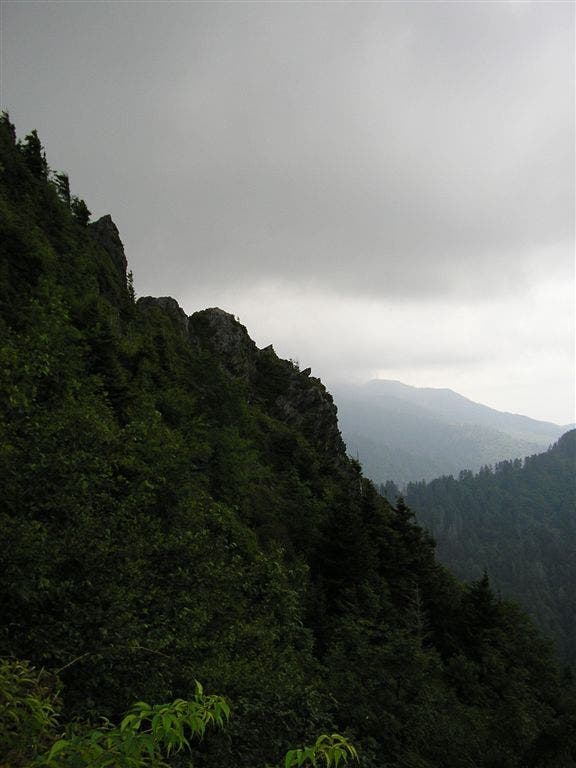 View from Bunion None