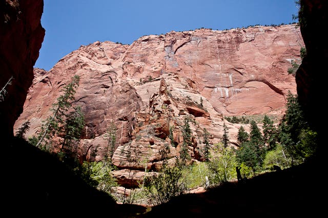 View from Double Arch Alcove None