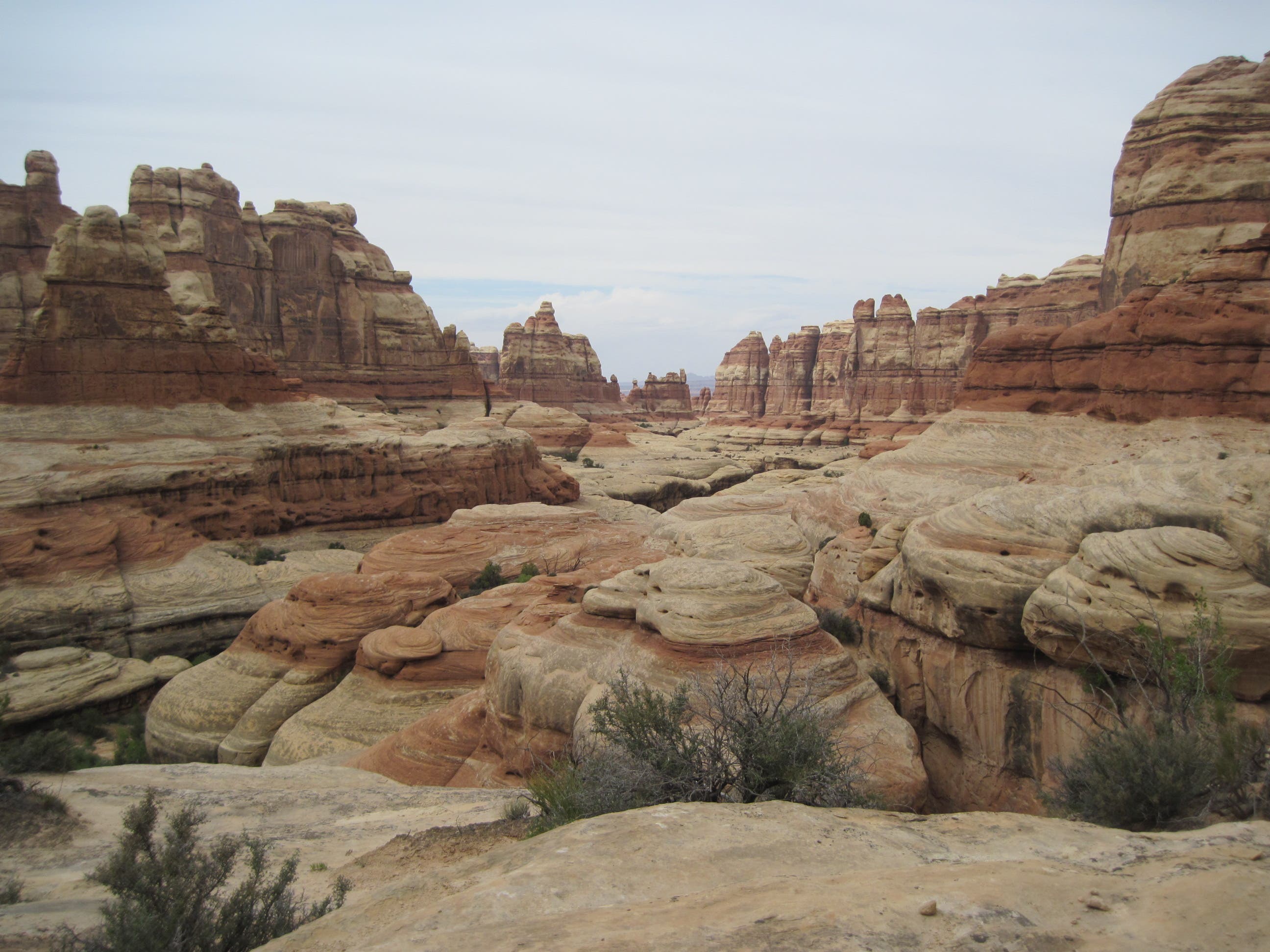 View from Druid Arch None