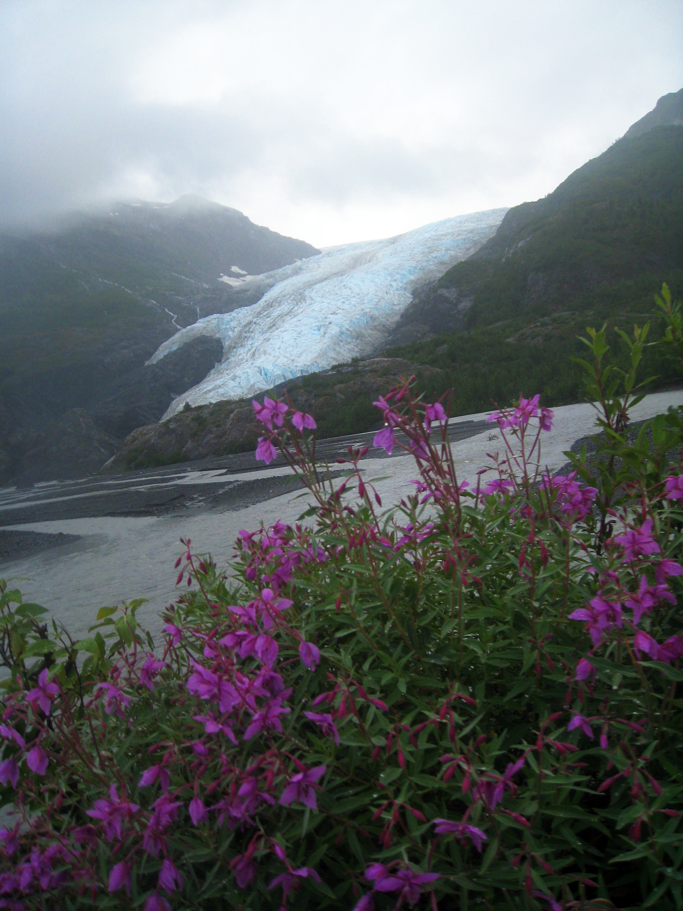 View from Glacier View None
