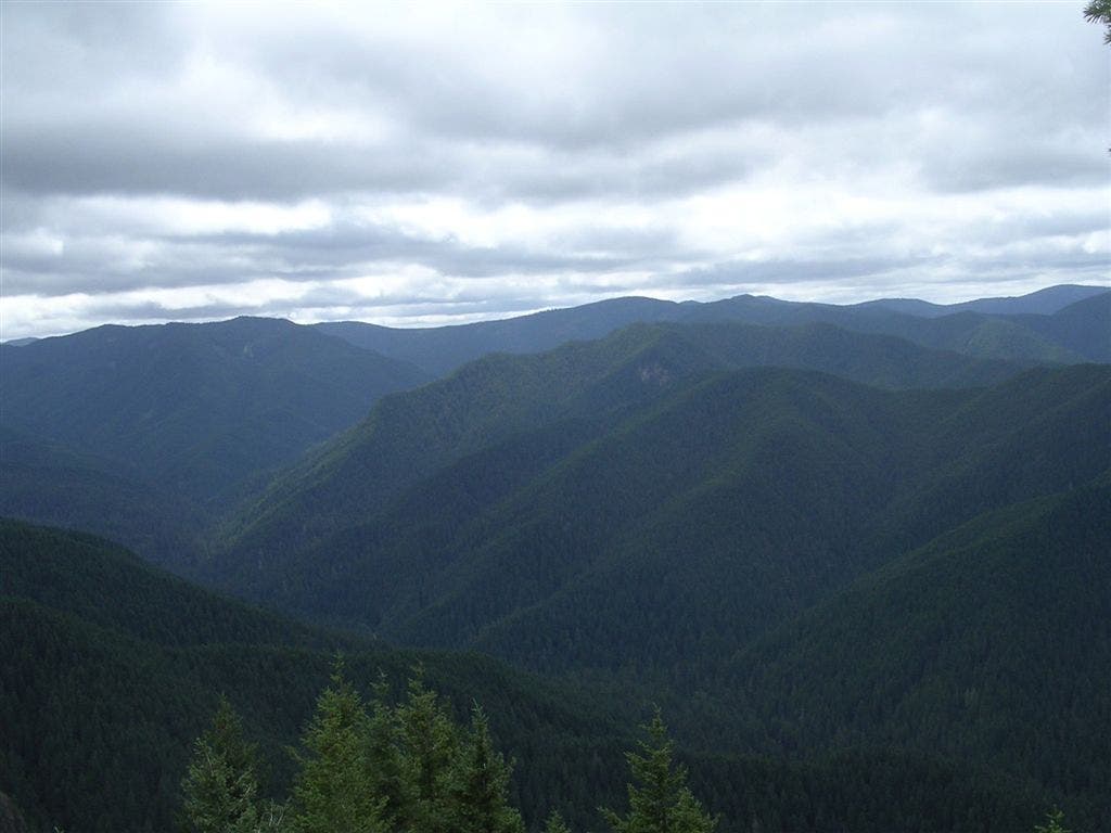 View from Great Pyramid Overlook None