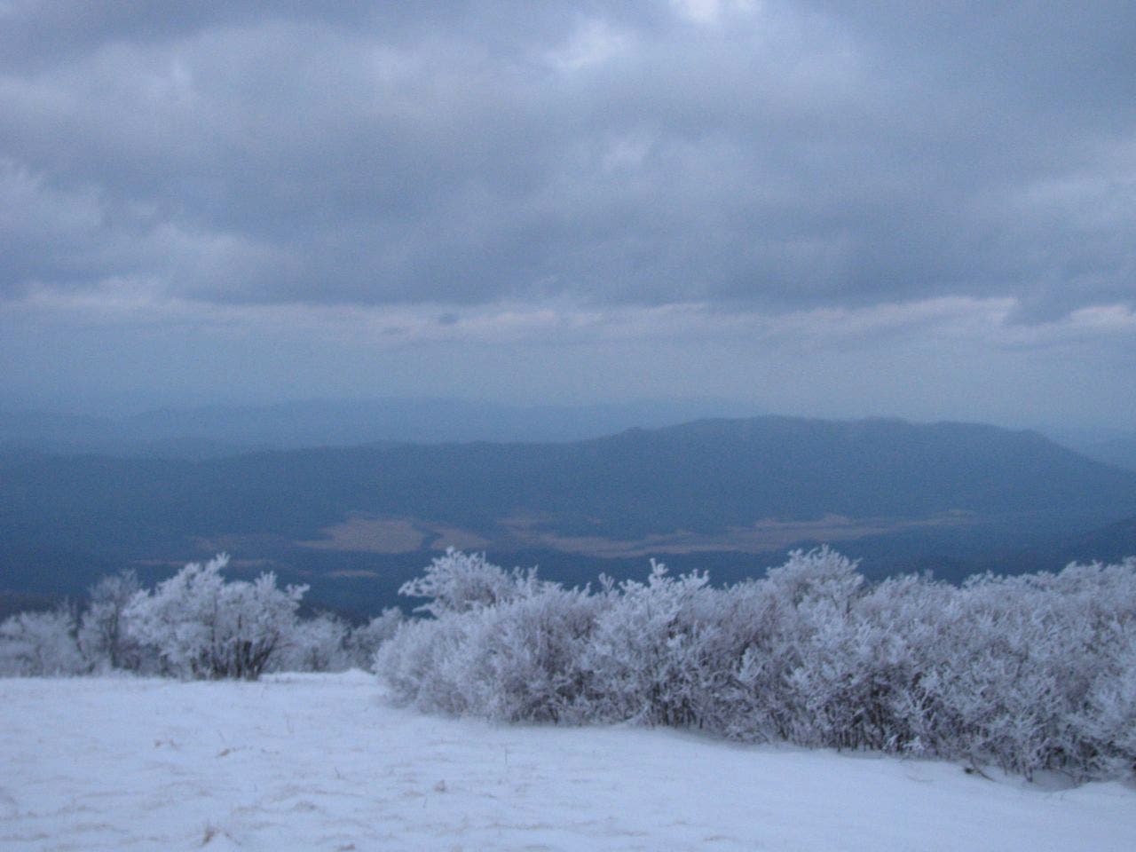 View from Gregory Bald None