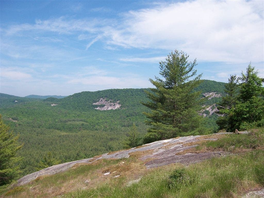 View from Little Green Mountain None