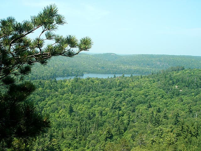 View from Mount Trudee None