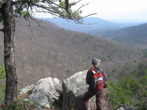 View from Ridgetop Knoll None