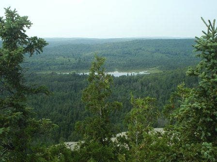 View from Section 13 None