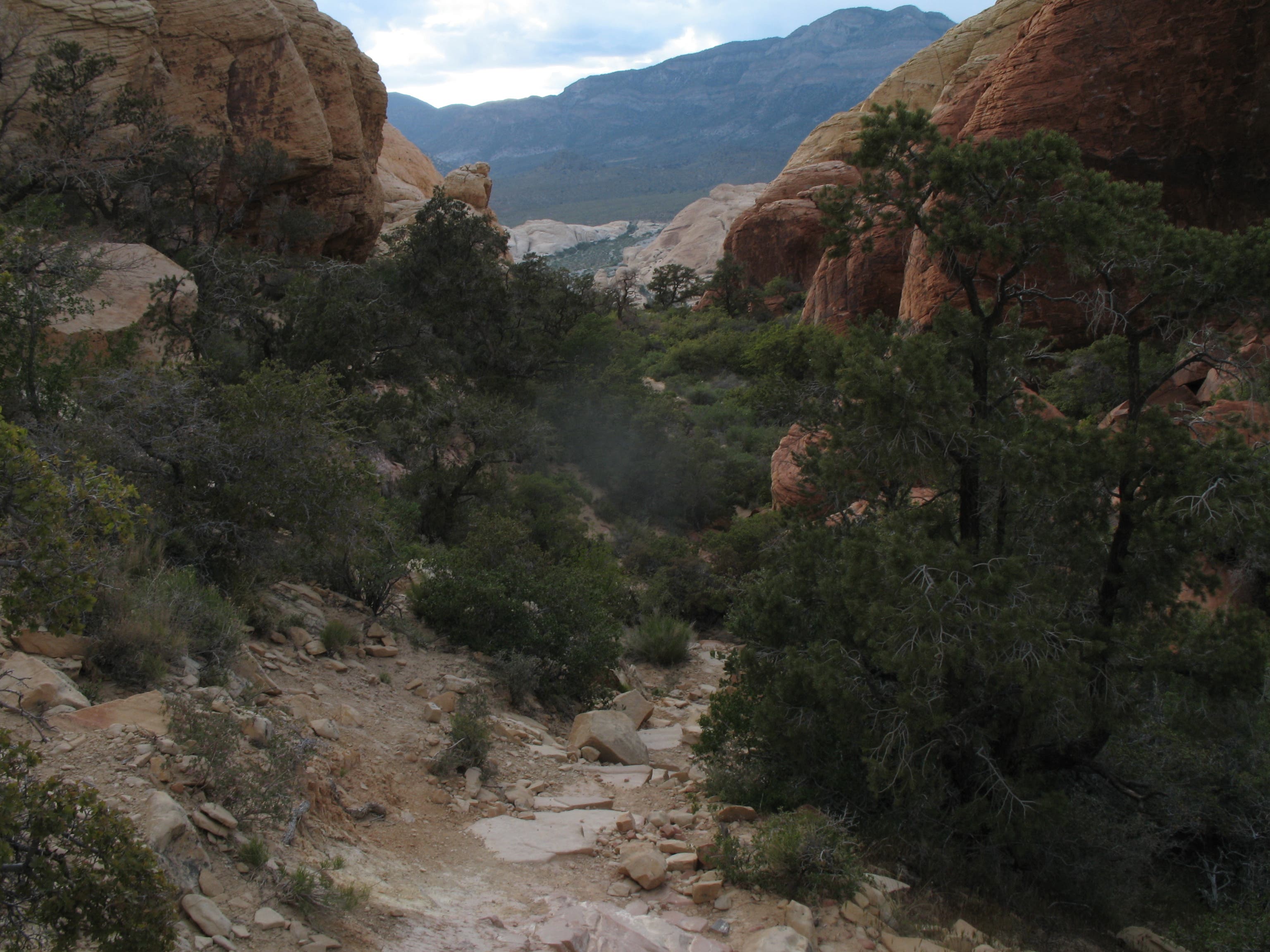 View from Tanks None