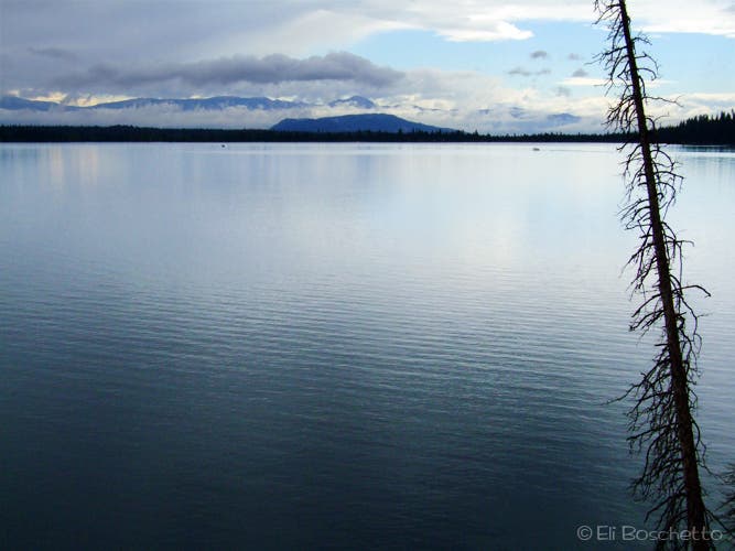 View from the northern shore of Jenny Lake None