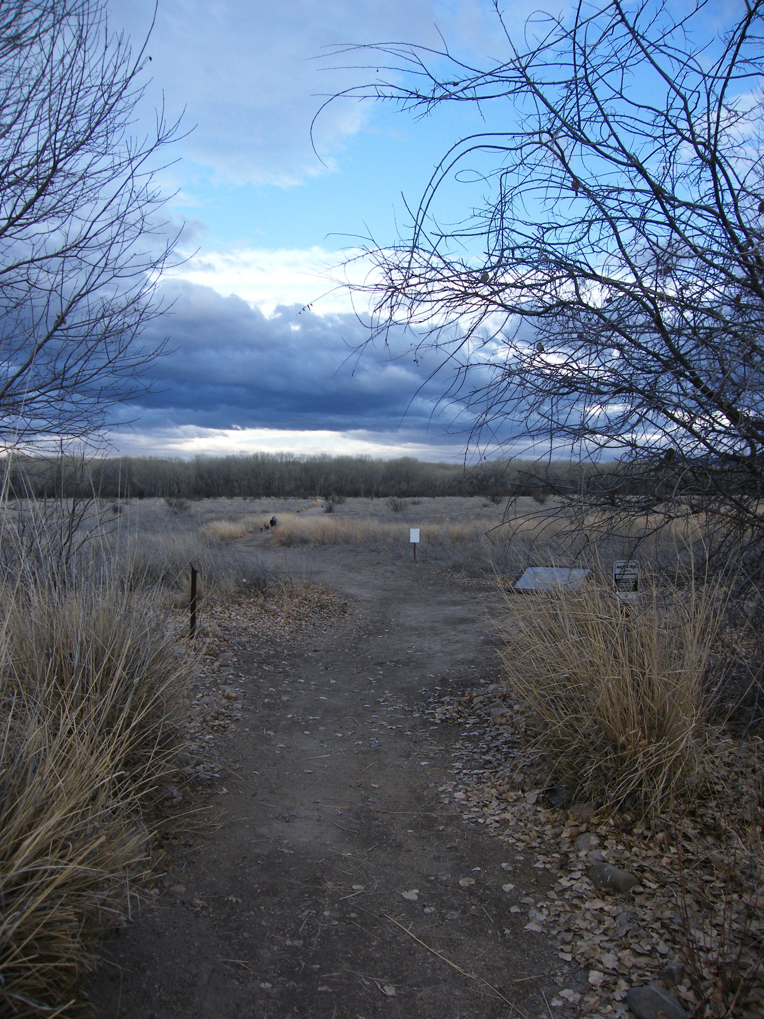 View from the trailhead None