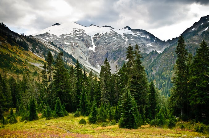 View near Hannegan Pass on the way to Beaver Trail. Snow-covered mountains encircled by tall pines make for beautiful views on the way to Beaver Trail.