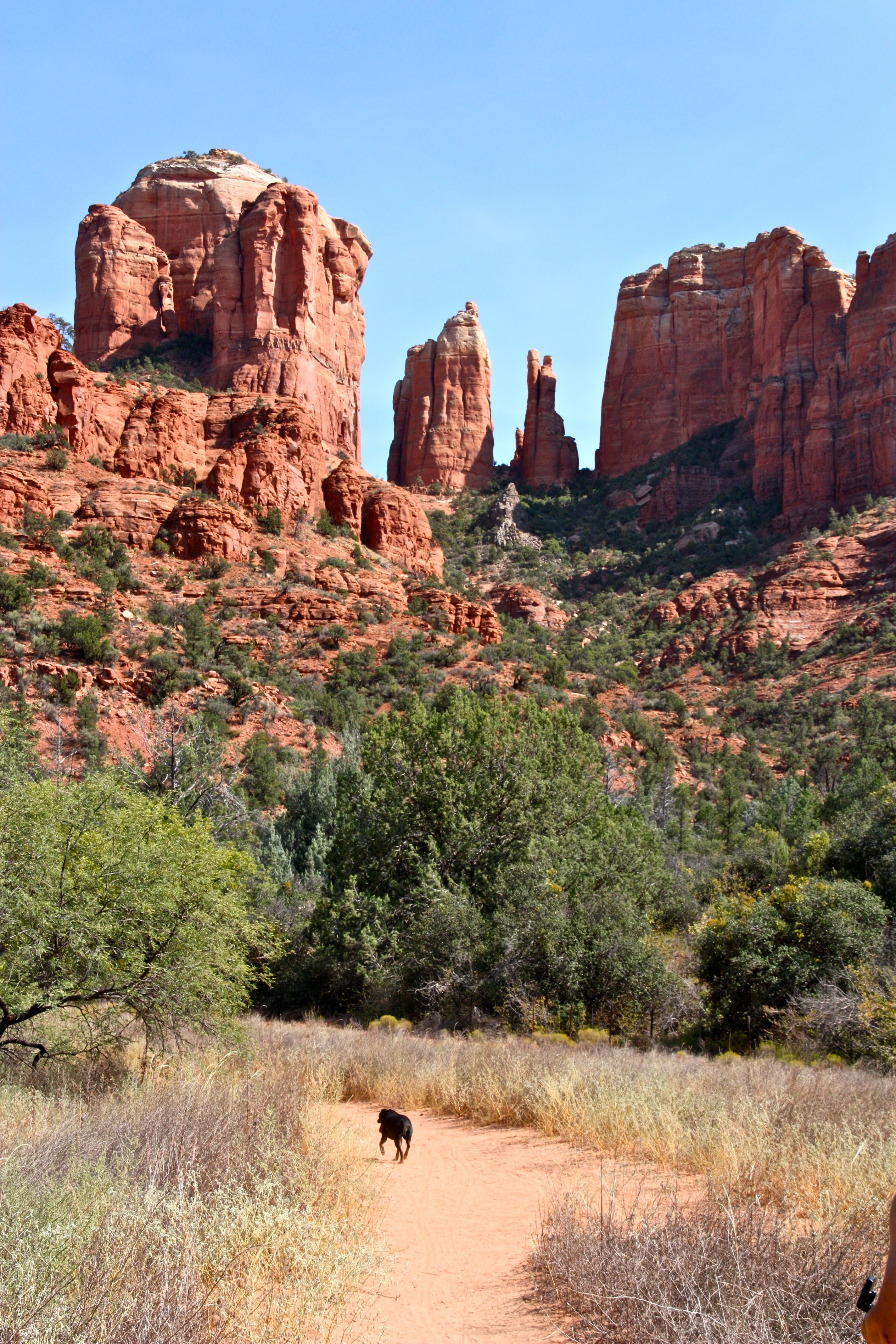 View of Cathedral Rock None