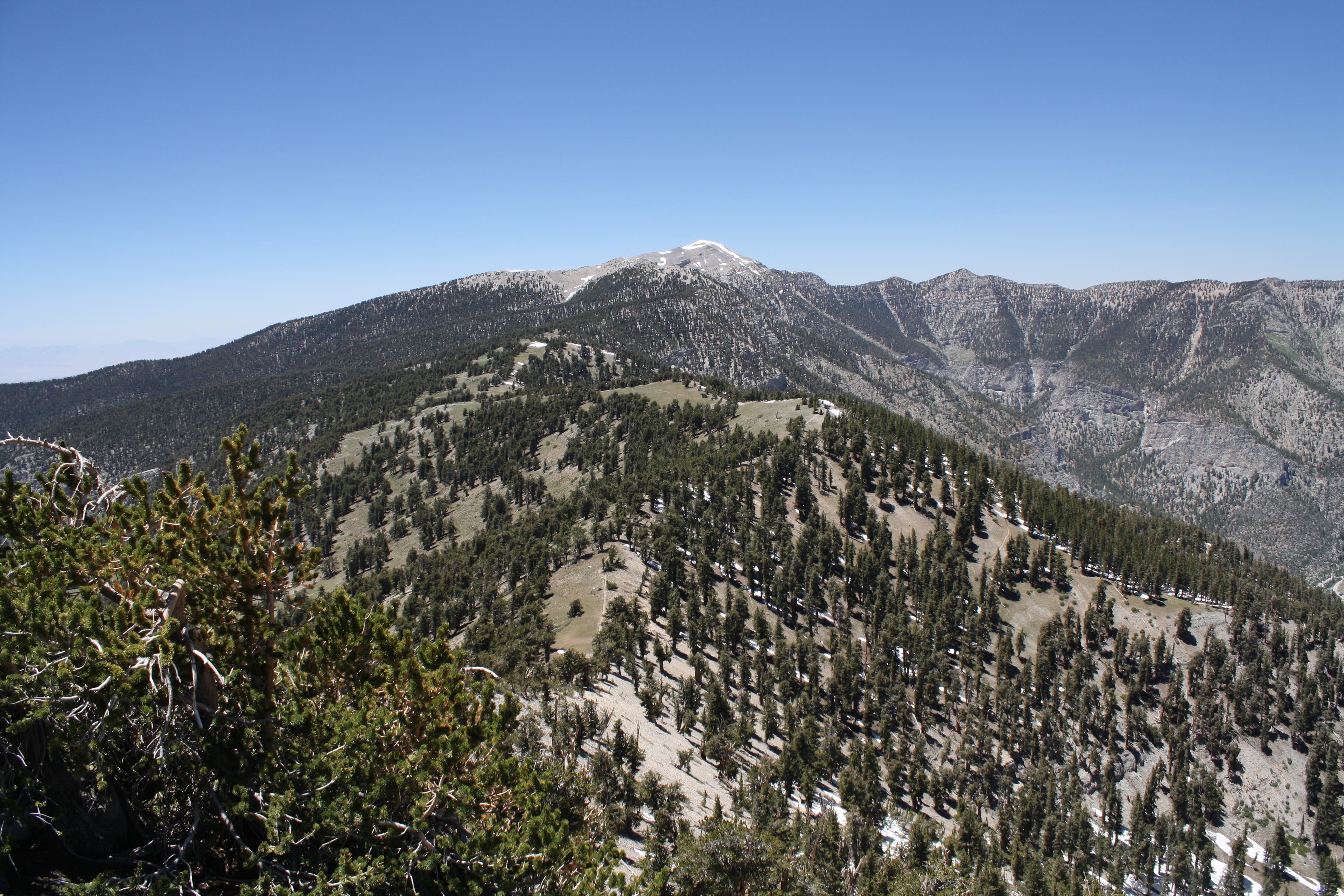 View of Charleston Peak from Griffith Peak None
