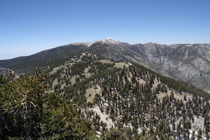 Las Vegas, NV: Griffith Peak via South Loop Trail