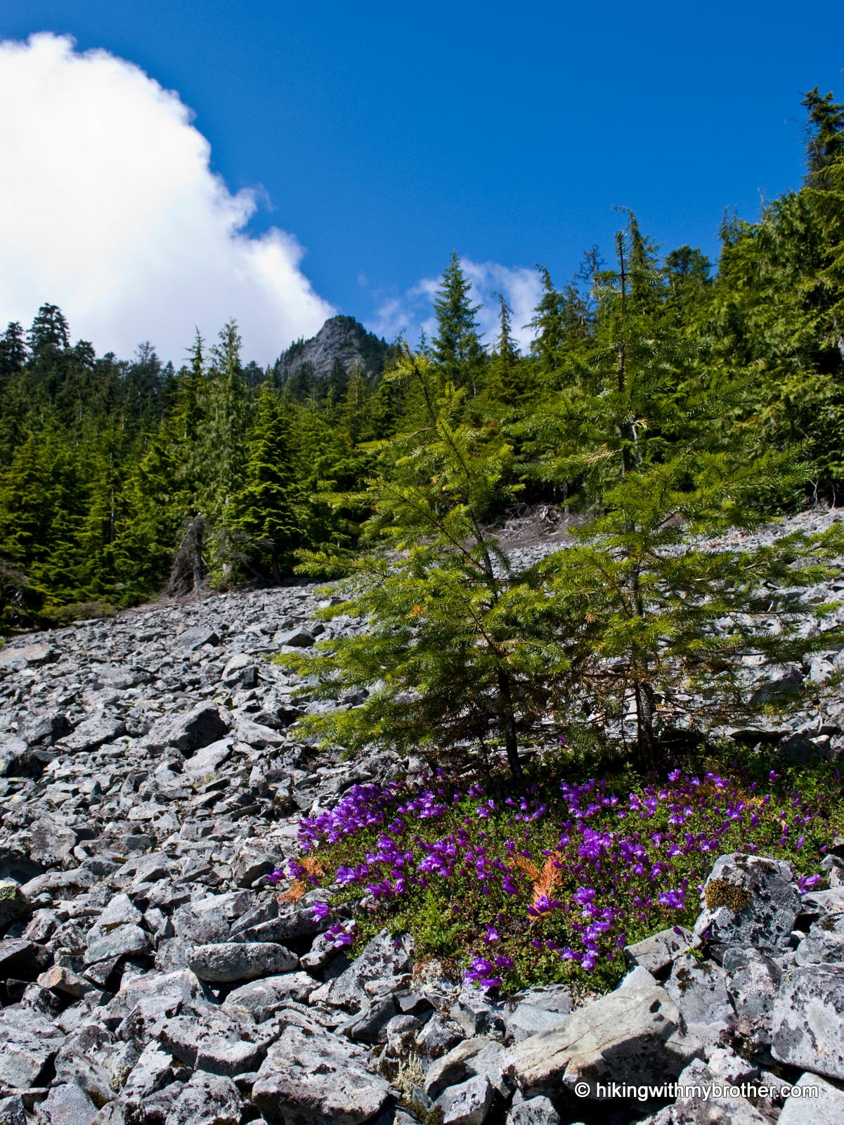 View of destination None