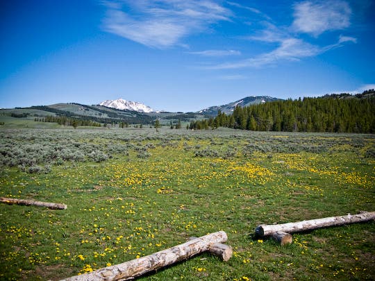 View of Glen Creek None