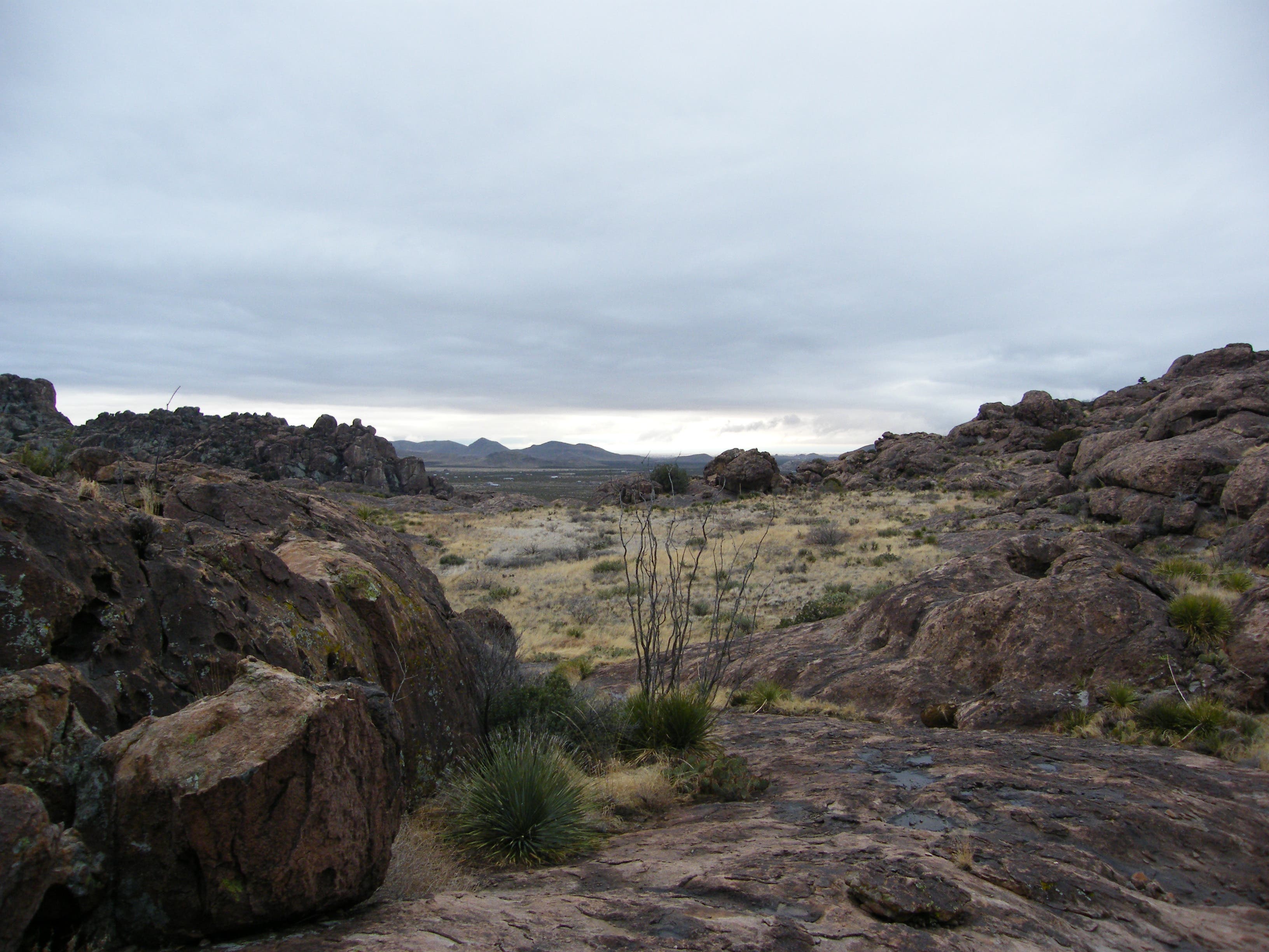 View of grassy area atop rocks. None