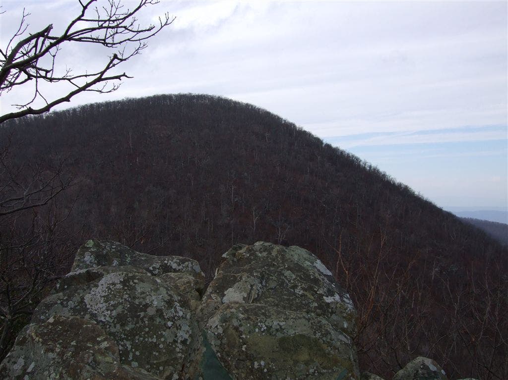 View of Hogback Mountain None