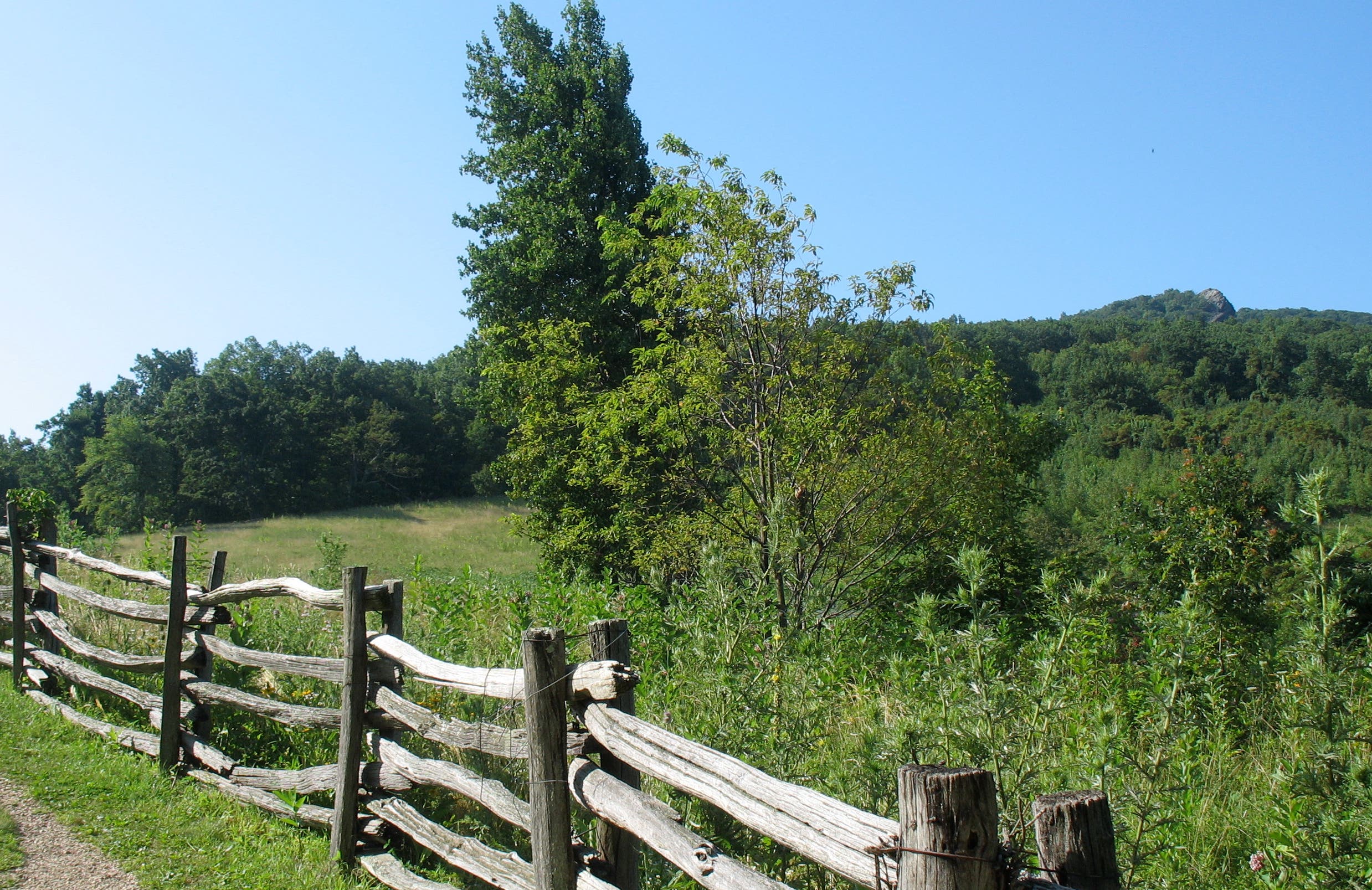 View of Humpback Rocks None