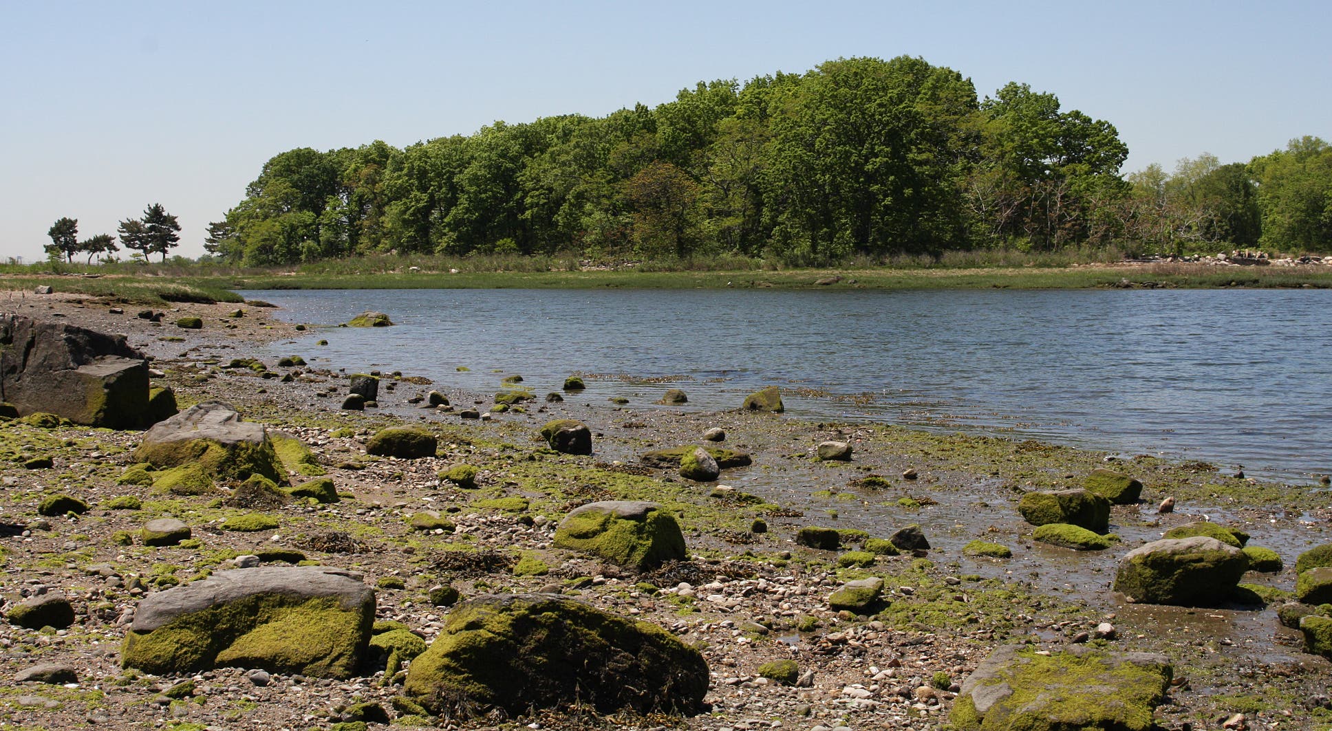 View of Hunter Island None