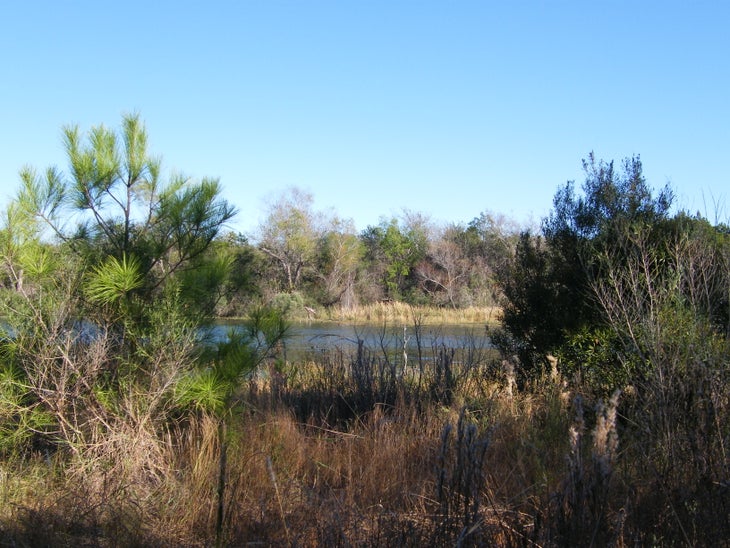 View of lake None