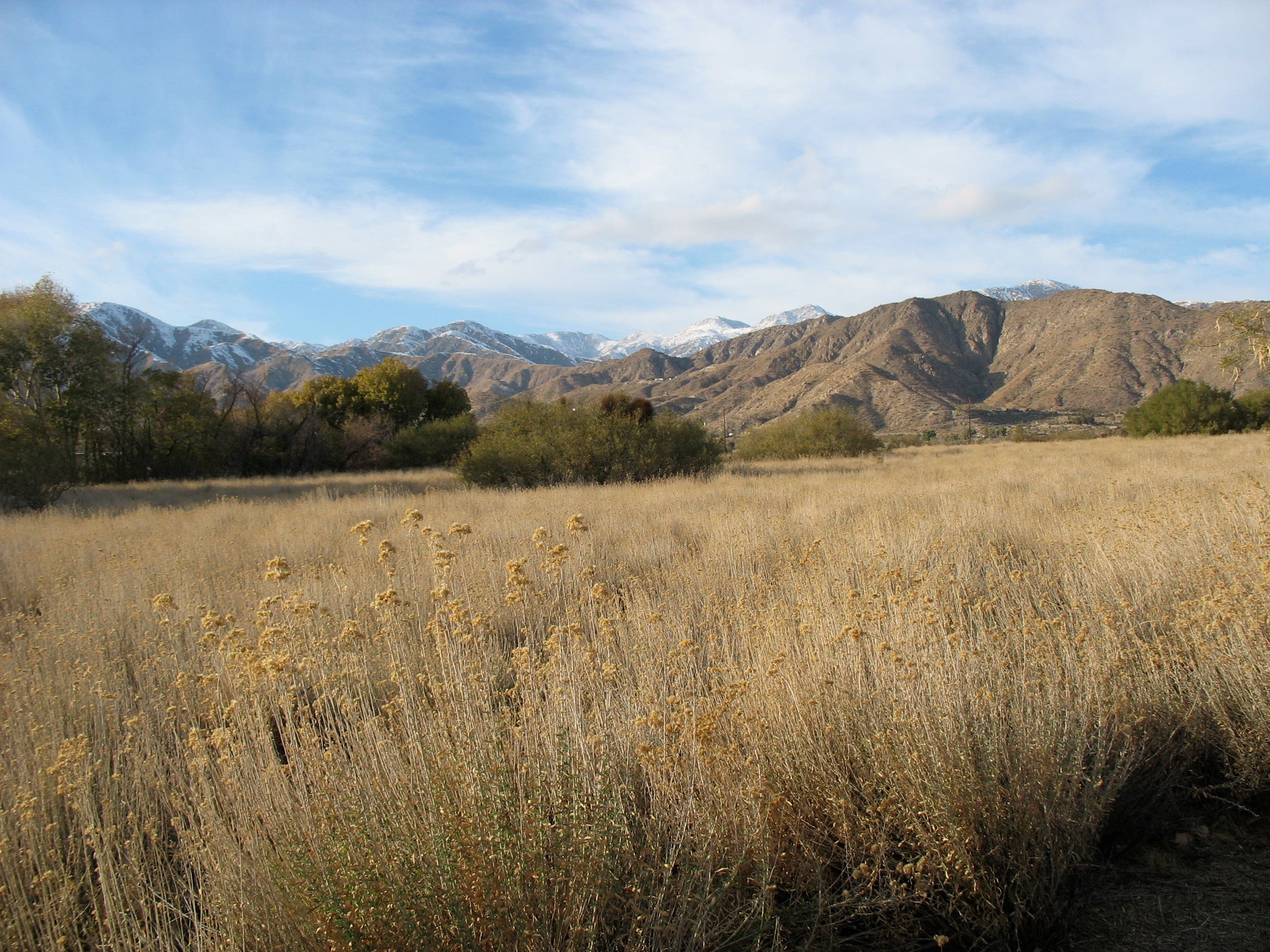 View of Little San Bernadino Mountains None